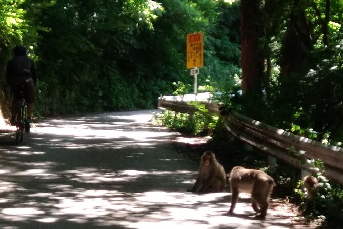Bike Rentals in Nagano to Explore Snow Monkey Park. - Additional Tour Offerings