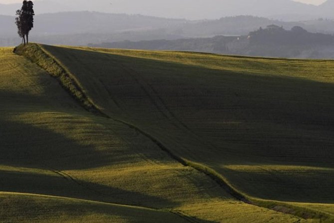 Bike Ride Immersion Val Dorcia - Discovering Pecorino Cheese Factories