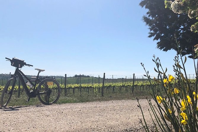 Bike Ride Immersion Val Dorcia - E-Bikes for Effortless Cycling Experience