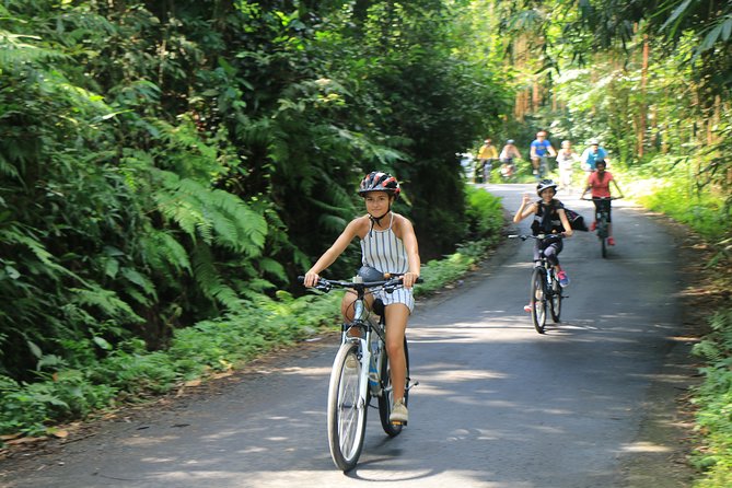 Bike Ride in the Rice Fields, Bali Countryside - Transportation and Pickup Information