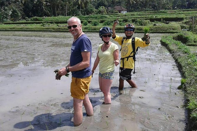 Bike Ride in the Rice Fields, Bali Countryside - Reviews and Recommendations