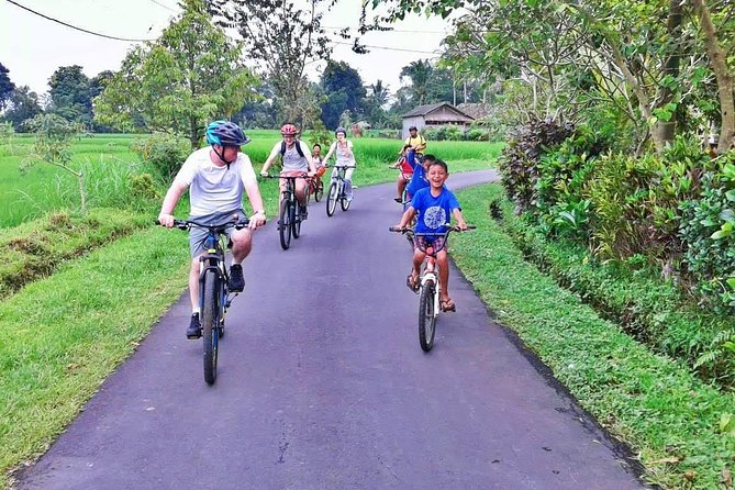 Bike Ride in the Rice Fields, Bali Countryside - Explore the Bali Countryside
