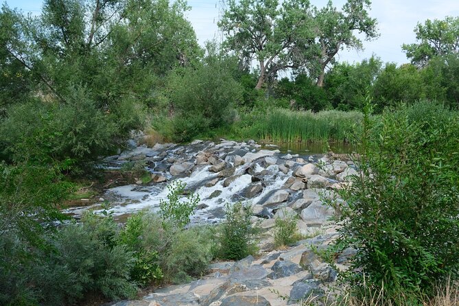 Bike Ride on Cherry Creek Trail to Downtown Denver - What to Expect