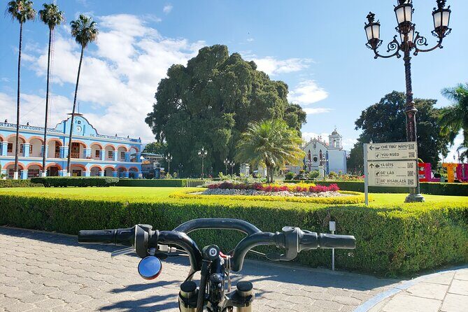 Bike Ride to the Largest Tree in the World - Key Points