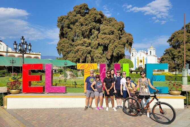 Bike Ride to the Largest Tree in the World - Exploring the Tour Itinerary