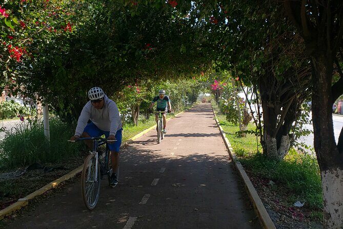 Bike Ride to the Largest Tree in the World - Authentic, Family-Friendly, and Value-Driven