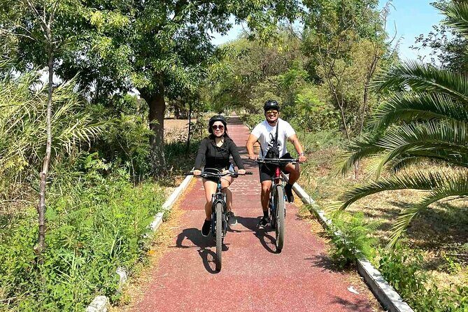 Bike Ride to the Largest Tree in the World - Who Should Consider This Tour?