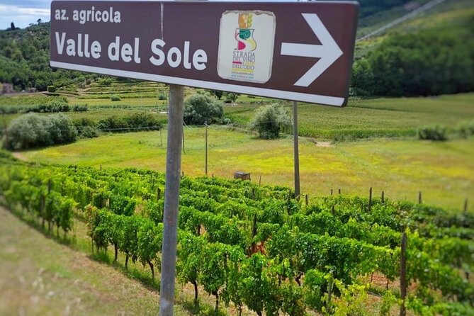Bike Ride & WIne Tasting - Guided Tours and Tastings