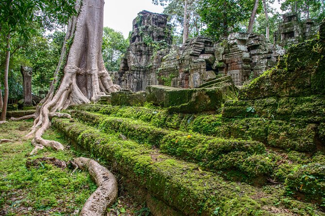 Bike the Angkor Temples Tour, Bayon, Ta Prohm With Lunch Included - Itinerary