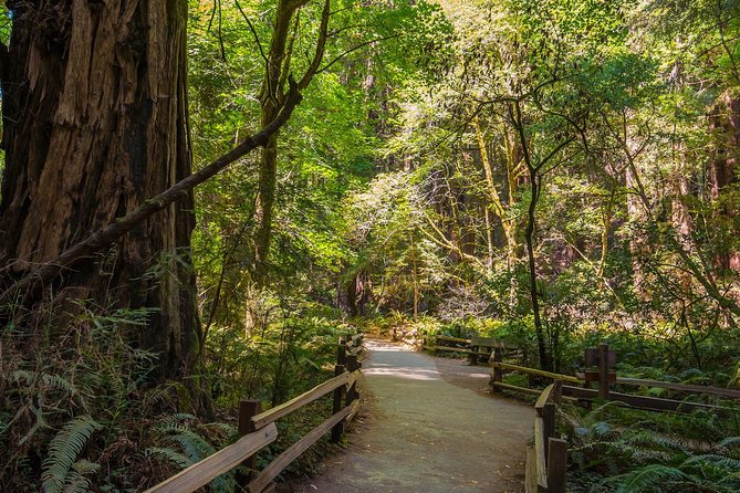 Bike the Golden Gate Bridge and Shuttle Tour to Muir Woods - Biking the Golden Gate Bridge