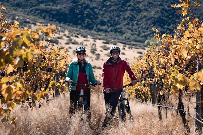 Bike The Wineries 3/4 Day Ride Queenstown - Traveler Insights