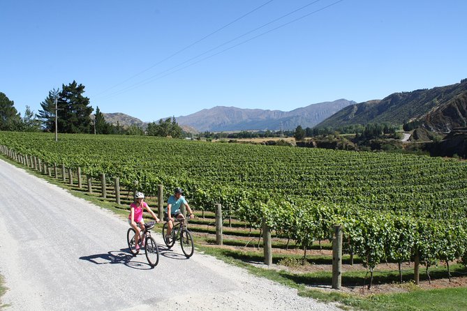 Bike The Wineries 3/4 Day Ride Queenstown - Recommendations