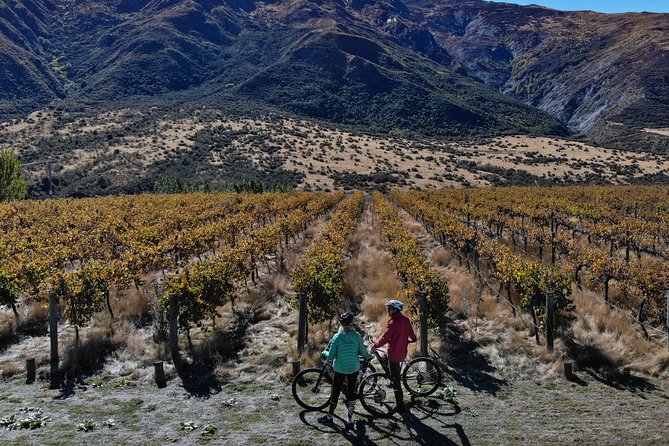 Bike The Wineries Half Day Ride Queenstown - Reviews and Feedback