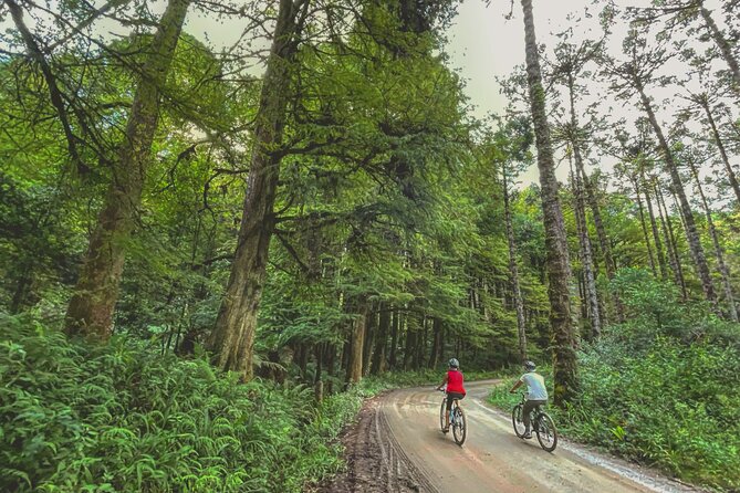 Bike Tour - Key Points