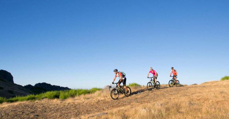 BIKE TOUR - BOTANICAL LEVELS OF MADEIRA, TRAIL EXPERIENCE - Experience and Highlights