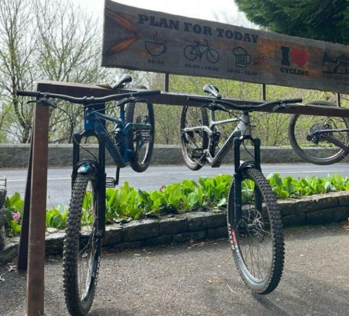 BIKE TOUR - BOTANICAL LEVELS OF MADEIRA, TRAIL EXPERIENCE - Descending the Paved Roads