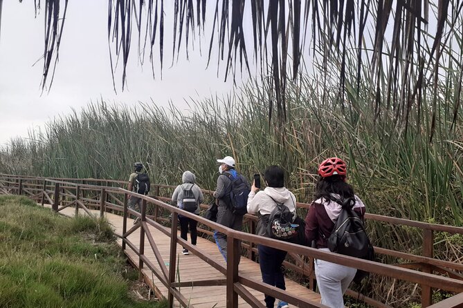 Bike Tour Discovering the Nature and History of Lima - Traveler Experience and Review