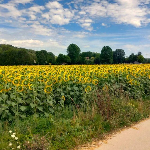 Bike Tour From Vernon to Giverny With Local Guide - Frequently Asked Questions