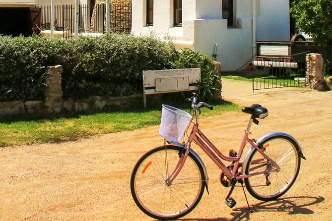 Bike Tour in Colonia Del Sacramento - Uruguay - Key Points
