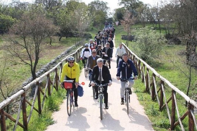 Bike Tour in Itria Valley - Local Cuisine and Wine Tasting