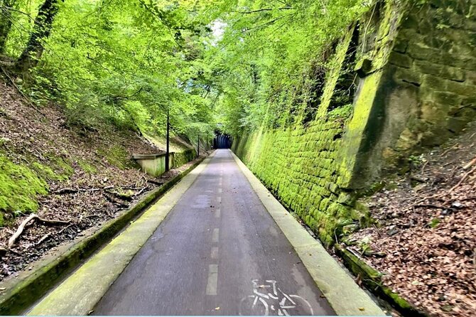 Bike Tour in San Sebastián With FREE Pintxo and Drink! - Meeting and End Point