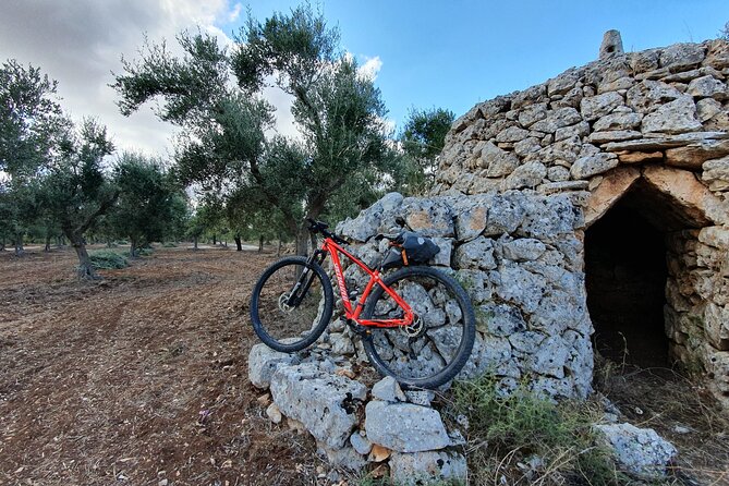 Bike Tour in the Alta Murgia National Park (Pulo of Altamura) - Tour Highlights