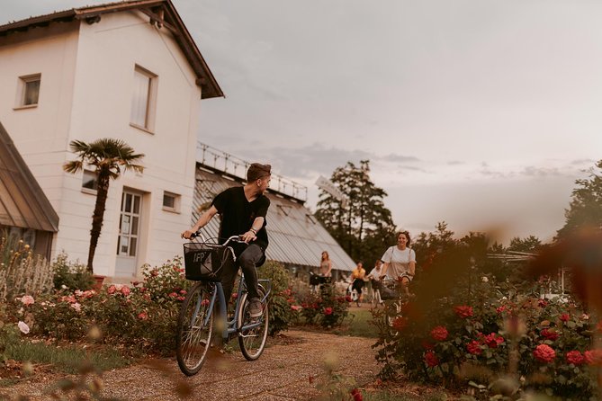Bike Tour Ljubljana - What to Expect