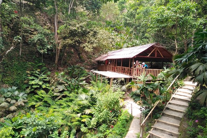 Bike Tour Minca - Participant Recommendations