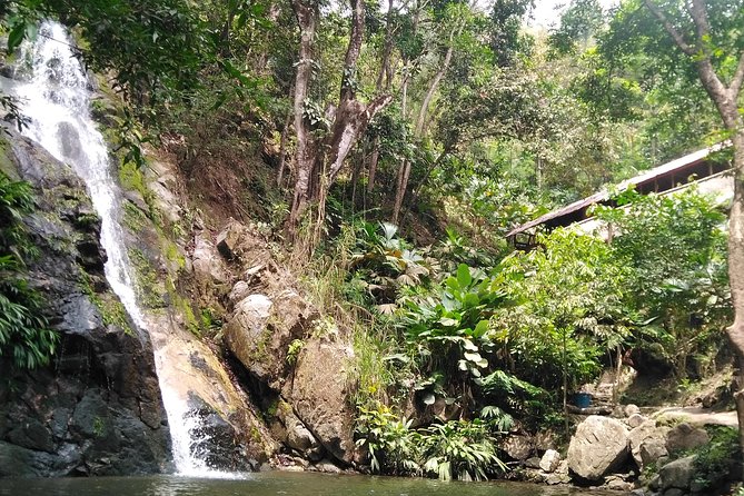 Bike Tour Minca - Booking and Contact