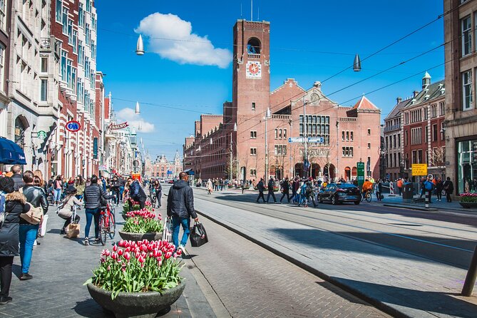 Bike Tour of Amsterdam Old Town, Top Attractions and Nature - Accessibility and Participation