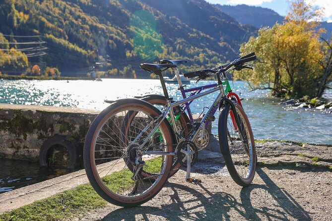 Bike Tour of the Interlaken Valley: Rivers, Lakes & Forests - Scenic Views of Lakes and Forests