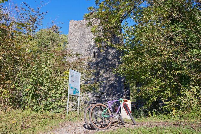 Bike Tour of the Interlaken Valley: Rivers, Lakes & Forests - Biking Through Peaceful Farmland