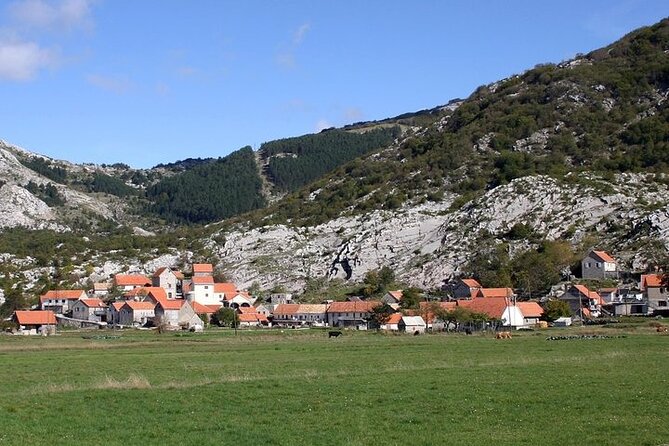 Bike Tour - Panoramic Downhill From NjegušI and Kotor Serpentines - Included Offerings
