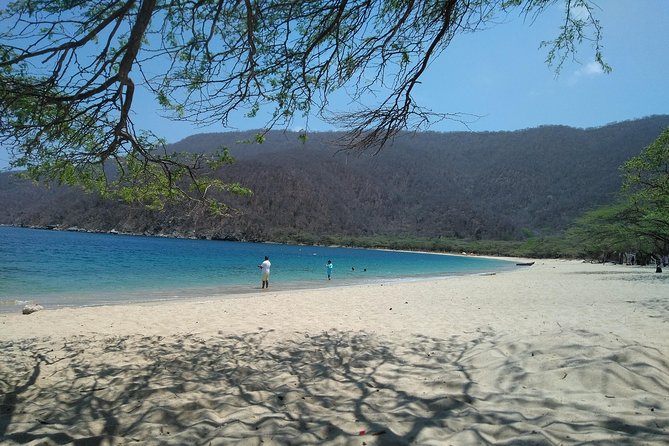 Bike Tour Tayrona, Bahía Concha, 1 Day - Guest Reviews and Experiences