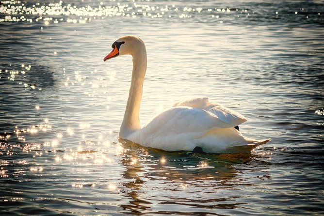 Bike Tour Through Beautiful Hamburg - Outer Alster Bike Tour (Min.4) - Pricing and Cancellation Policy