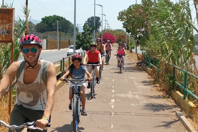 Bike tour to the Tule Tree and the Gastronomic Market - Why This Tour Is Such a Good Value