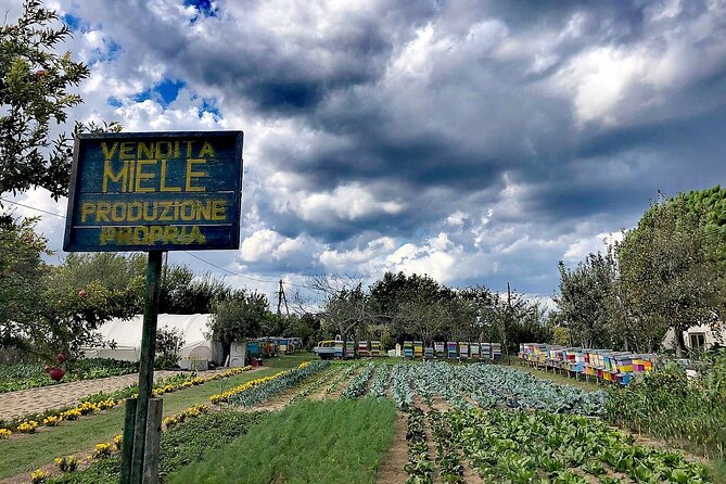 Bike Tour With Honey and Artichokes on Sant'erasmo Island - Accessibility and Restrictions