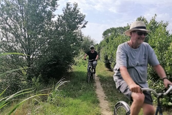 Bike Tour With Honey and Artichokes on Sant'erasmo Island - Local Products: Honey and Artichokes