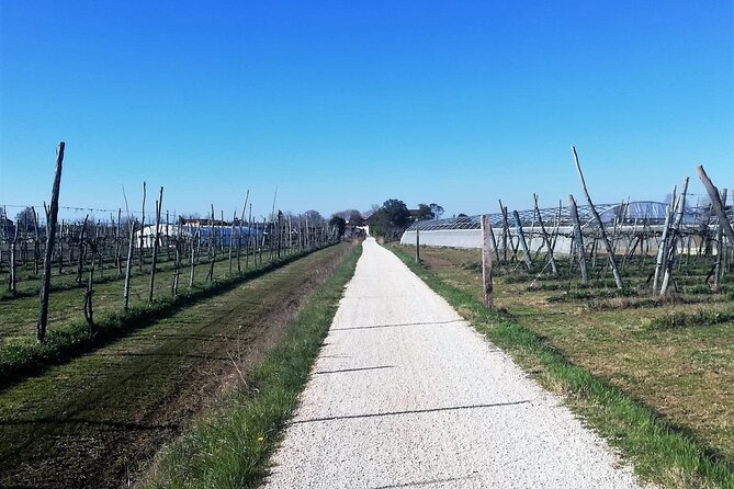 Bike Tour With Honey and Artichokes on Sant'erasmo Island - Group Size and Cancellation Policy