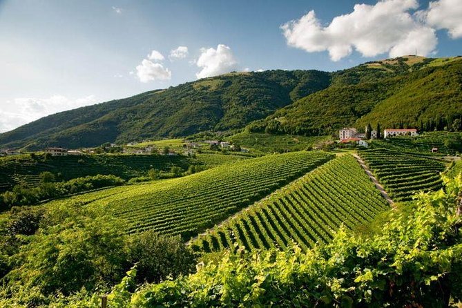Bike Tours On The Wine Route Prosecco Valdobbiadene Unesco - Prosecco Vineyards Tour