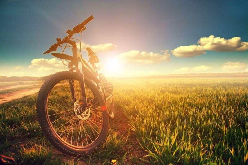 Bike & Wine in Budapest Region - Guided Gastro Tour - Booking Information
