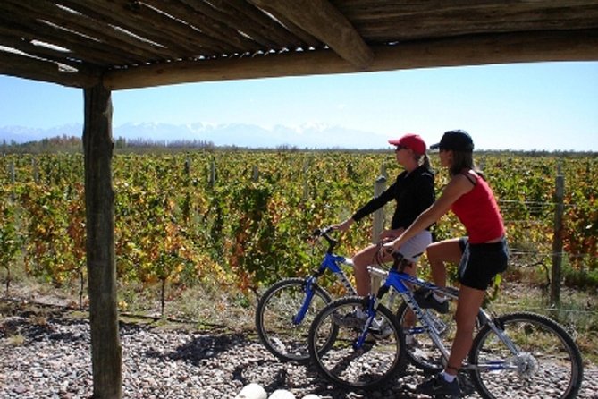 Bike & Wine Tasting With Regional Food in Zuccardi Winery (From Mendoza) - Key Points