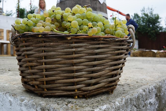 Bike & Wine Tour in Dealu Mare Wineland - Meeting and Pickup