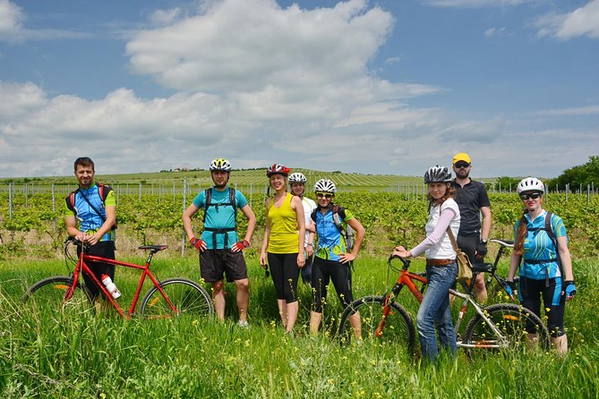Bike & Wine Tour in Dealu Mare Wineland - Important Information