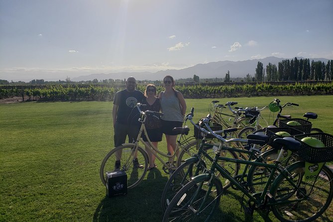 Bike, Wines & Lunch at Luján De Cuyo (Mendoza) - Renowned Wineries and Tastings