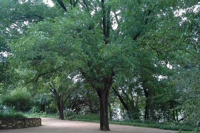 Bikes and BBQ Tour in Austin - Exploring Austin by Bike