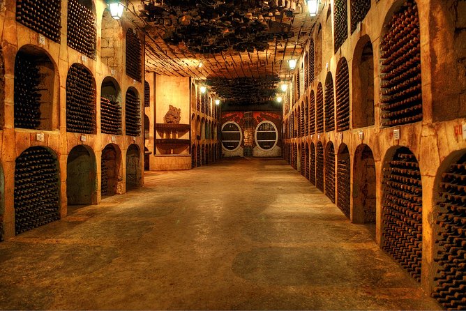 Biking a Guinness Book Winery - Accessibility and Requirements