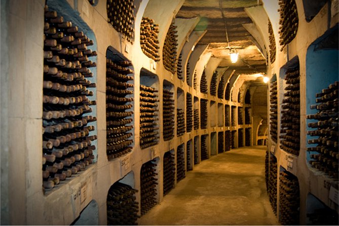 Biking a Guinness Book Winery - Exploring Milestii Mici Winery