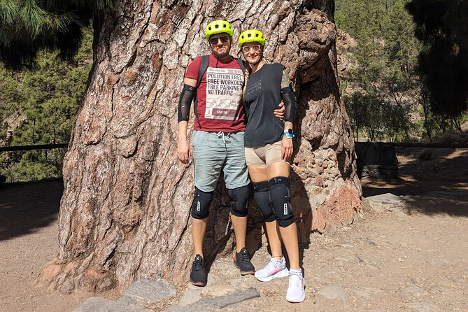 Biking Adventure From Teide to Sea With Wine and Cheese Tasting - Meeting and Pickup