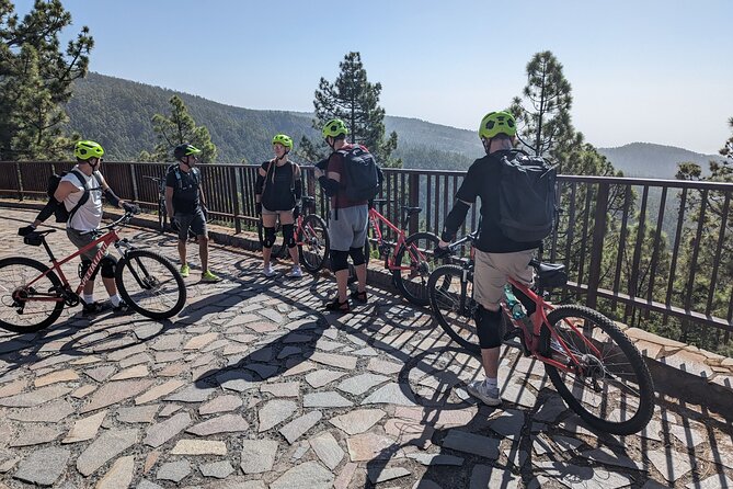 Biking Adventure From Teide to Sea With Wine and Cheese Tasting - Activity Details